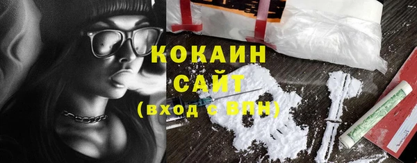 mix Бородино
